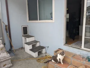 kućni ljubimac